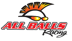 All Balls Racing