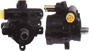 Pompa idroguida 081001 RENAULT SAGINAW