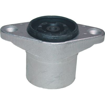 Supporto ammortizzatore Passat posteriore bilateraleolkswagen /BIRTH 50289