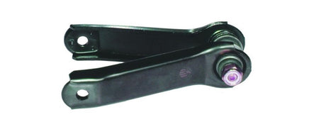 Braccio sospensione Fiat 500 anteriore bilaterale/BIRTH br1002
