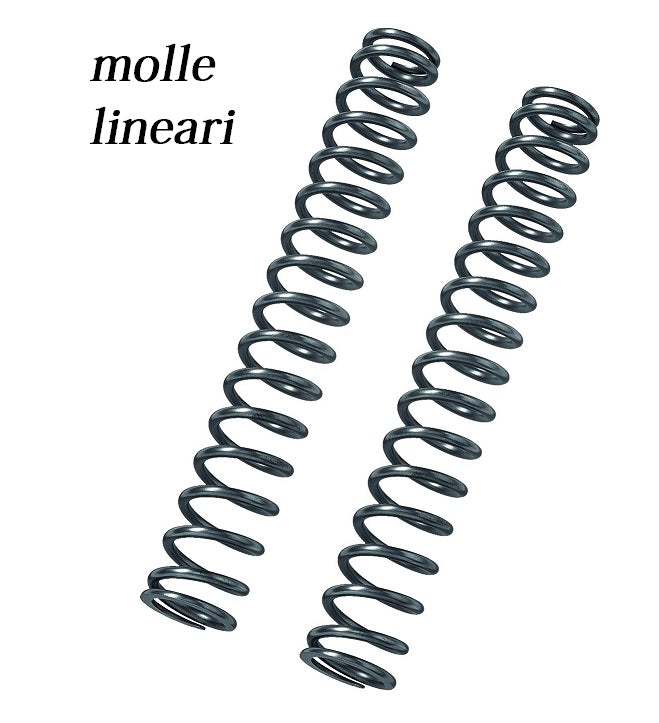 Molle forcella Bmw moto Bitubo